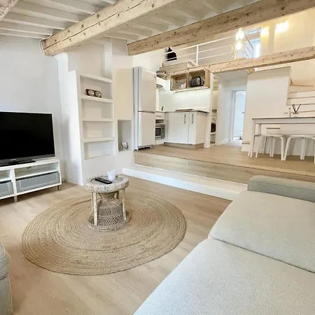 Beautiful Duplex Apt In The Center Apartment